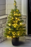 The 3ft Pre-lit Majestic Dew Pine Potted Tree (Indoor/Outdoor)