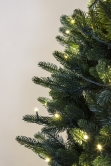 The 6ft Indoor/Outdoor Pre-lit Ultra Slim Mixed Pine