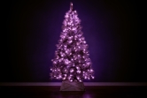 The Pre-lit 7ft Silver Majestic Pine Tree - Pink LED lights