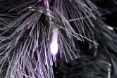 The Pre-lit 7ft Silver Majestic Pine Tree - Pink LED lights