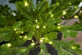 The 8ft Ultra-Lit Potted Montecito Spruce