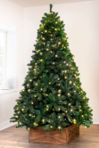 6ft Pre-lit Arbor Vitae Fir Tree