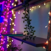 250 RGB Twinkly App-Controlled String Lights