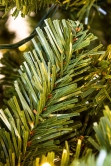 The 4ft Pre-lit Ultra Mountain Pine