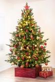 The 212pc Red & Gold Full Heavy Coverage Bauble Set (8ft trees)