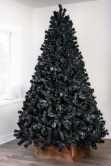 The Black Iridescence Pine Tree (6ft to 7ft)