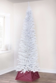 The 7ft White Italian Pencilimo Tree