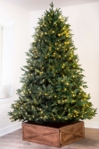 The 6ft Pre-lit Woodland Pine Tree