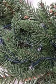 The 50cm Vivace Pine Wreath