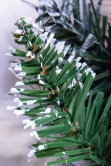 50cm Flocked Decorated Mixed Pine Wreath with Pine Cones