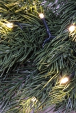 The Pre-lit Vivente Fir Wreath (100% PE 50cm-60cm)