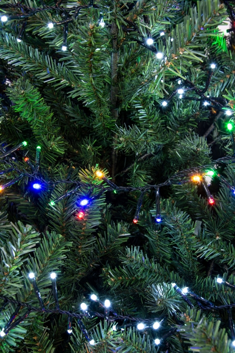 The 6ft Mountain Pine Tree | Christmas Tree World