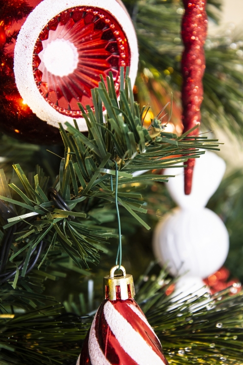 The 6ft Majestic Dew Pine Tree | Christmas Tree World