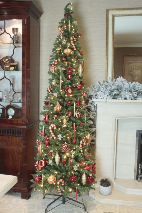 The 6ft Green Italian Pencilimo Tree | Christmas Tree World