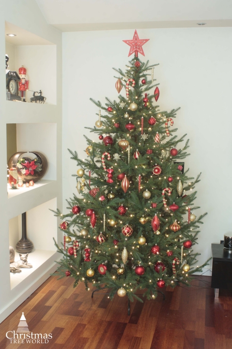 7ft Ultra Mountain Pine | Christmas Tree World