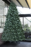 The 12ft Ultra Devonshire Fir Pre-lit with Warm White/White Colour change LEDs