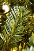 The 9ft Pre-lit Ultra Mountain Pine
