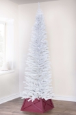 The 6ft White Italian Pencilimo Tree