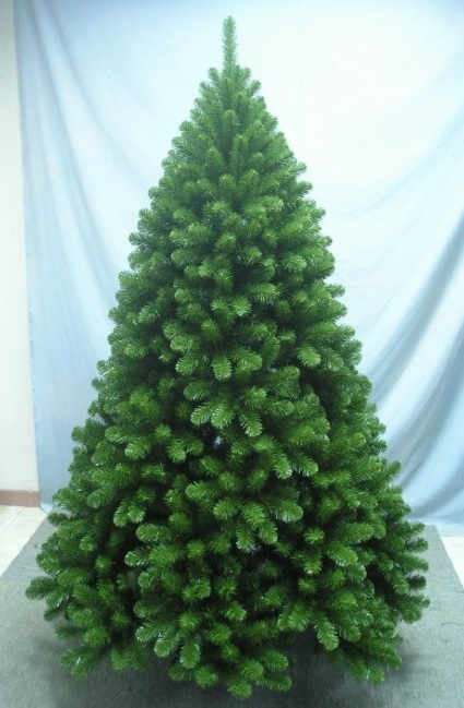 The 7ft Arbor Vitae Fir Tree